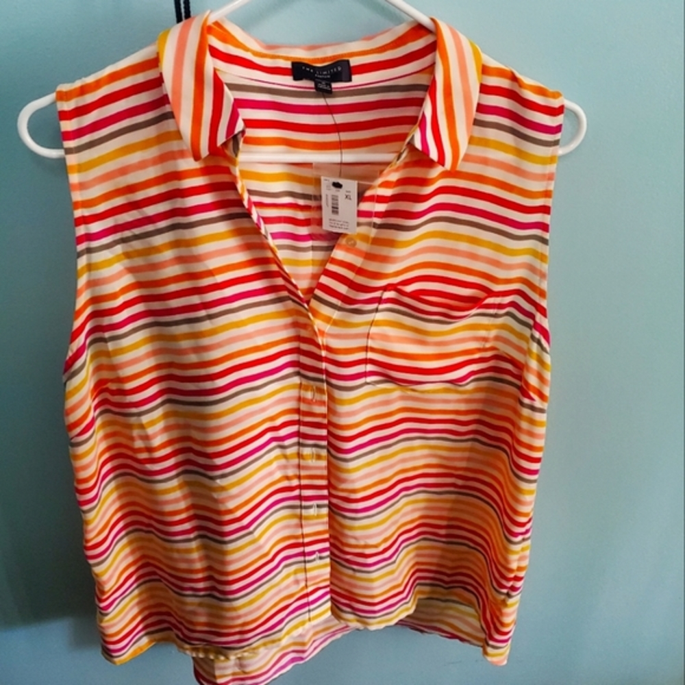 The limited ashton sleeveless blouse
